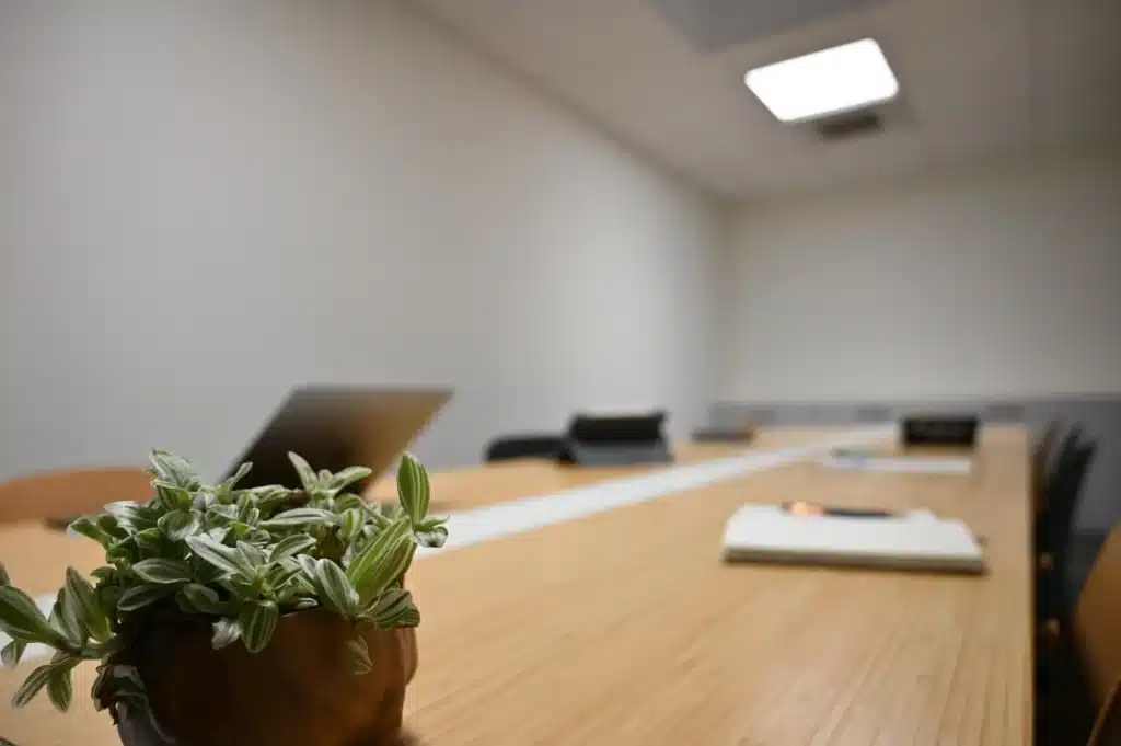 Salle de réunion - Espace 23 Coworking Périgueux - Plante-compressed Salle de réunion - Espace 23